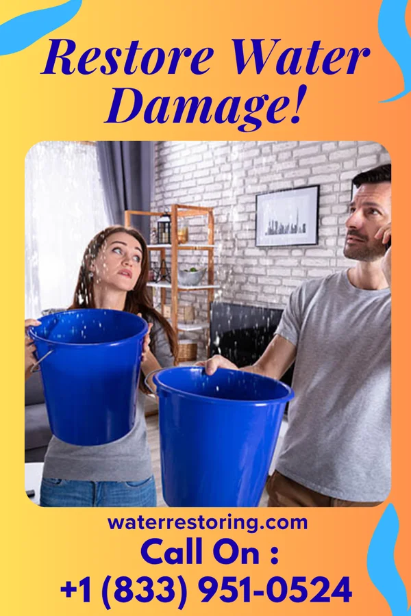 water restoration Local Damage Recovery Experts Lyons
