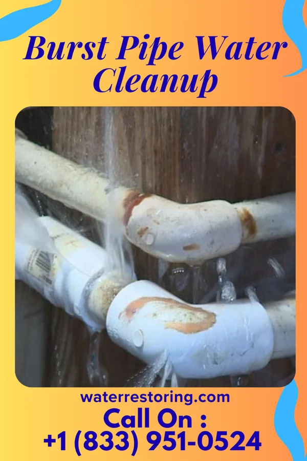 Burst Pipe Water Cleanup in Lyons, IL