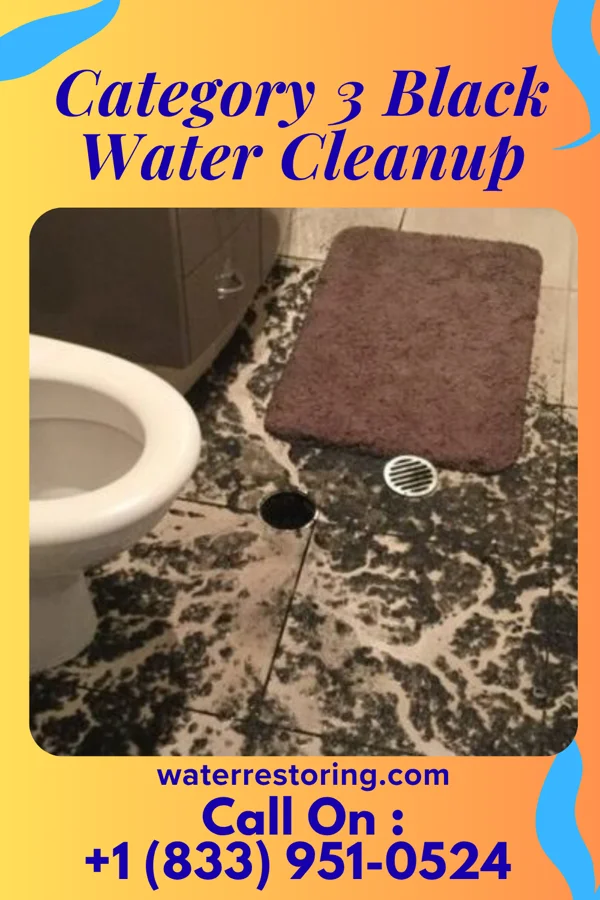 Category 3 Black Water Cleanup in Lyons, IL