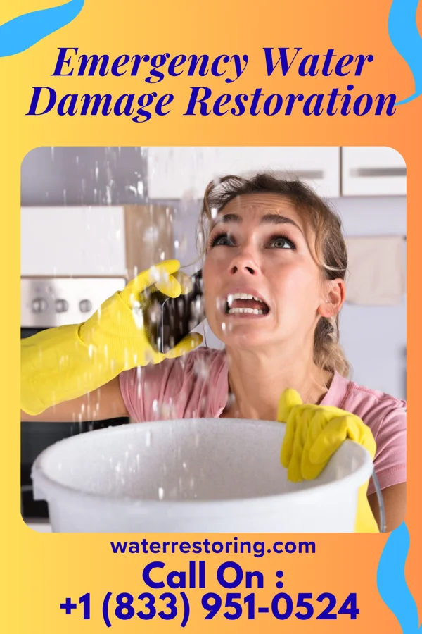 Emergency Water Damage Restoration in Lyons, IL