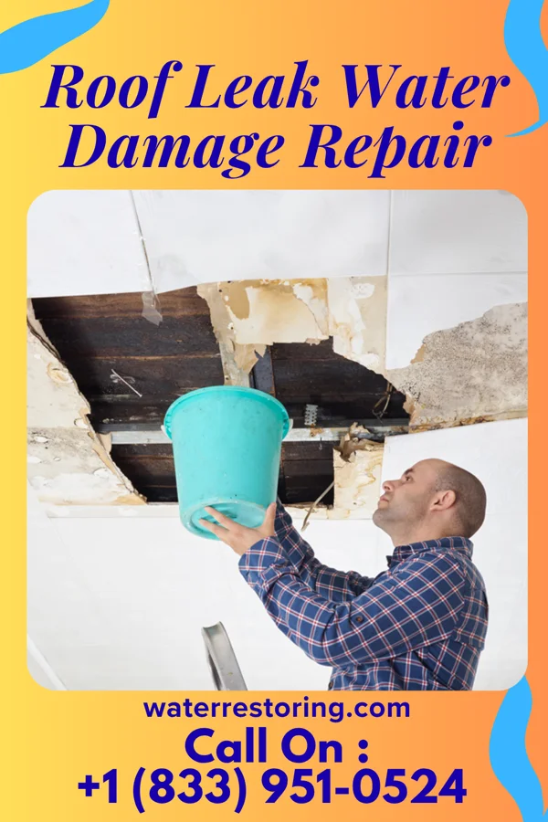 Roof Leak Water Damage Repair in Lyons, IL